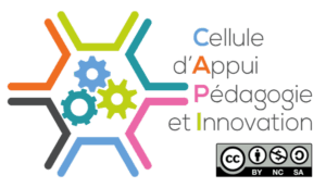 logo-cellule-innovation capi